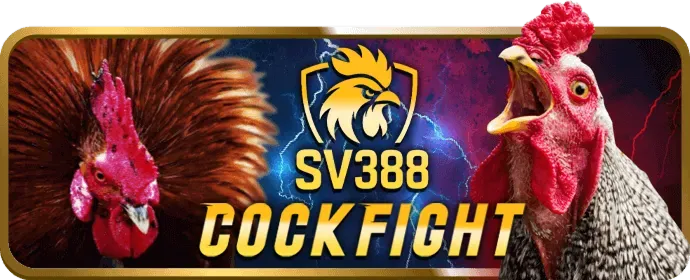 Uy tín hàng đầu 66mb